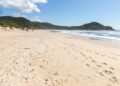 A praia catarinense que se tornou um dos refúgios mais charmosos do Brasil com natureza preservada