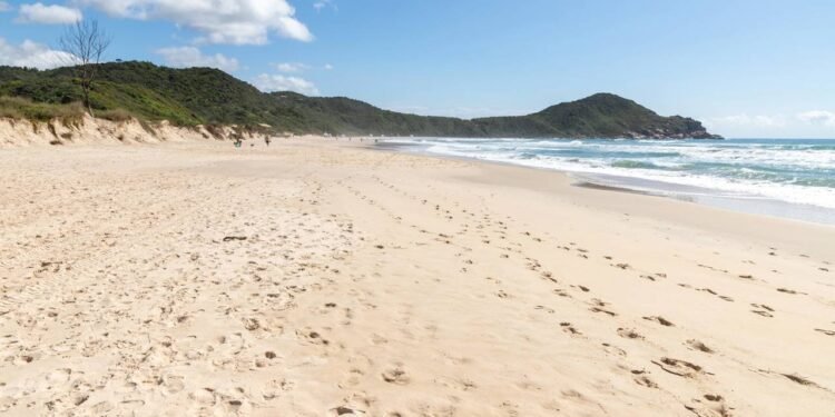 Praia do Rosa, no litoral sul de Santa Catarina, é um daqueles lugares onde natureza, energia acolhedora e beleza intocada se encontram no equilíbrio perfeito // Créditos: depositphotos.com / lltrarbach