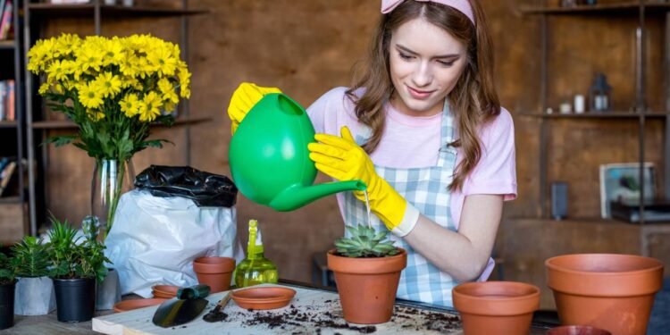Como multiplicar suculentas em casa com folhas que iriam para o lixo