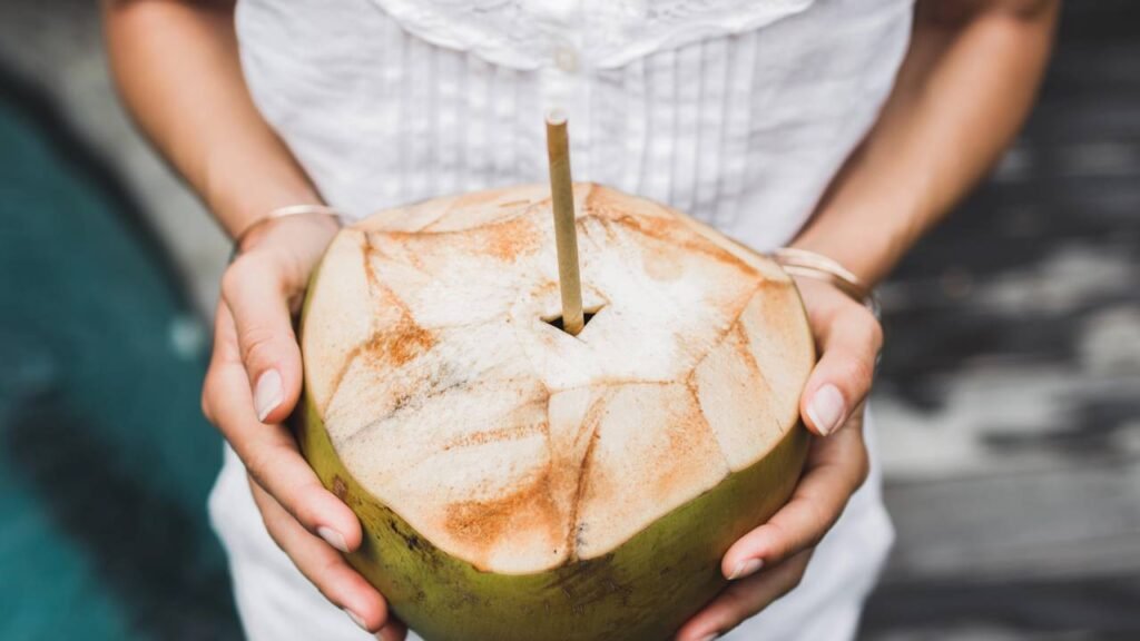 Segurança no verão começa em casa com esses cuidados contra calor extremo e mosquitos