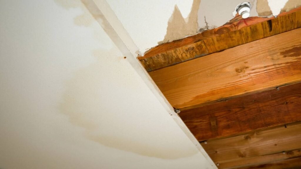 O teste de 10 segundos que revela se sua casa tá vazando água sem você saber