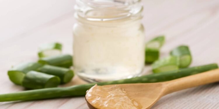 Gel de Aloe Vera Orgânico - Créditos: depositphotos.com / joannawnuk