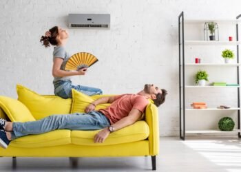 Plantas que ajudam a diminuir o calor e deixar sua casa mais confortável nesse verão