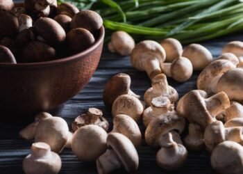 Aprenda a plantar cogumelos comestíveis usando borra de café