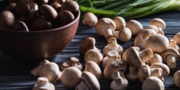 Aprenda a plantar cogumelos comestíveis usando borra de café