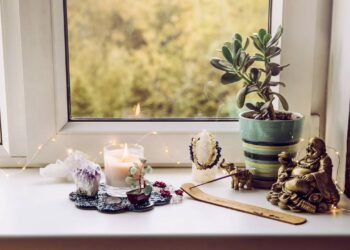As melhores plantas para ter na mesa de trabalho e atrair prosperidade