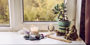 As melhores plantas para ter na mesa de trabalho e atrair prosperidade