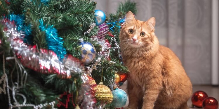 Nada de armadilhas complicadas, aprenda o truque para impedir que seu gato derrube ou quebre a árvore de Natal