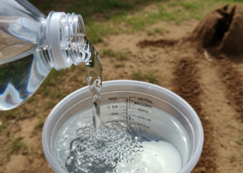 Como eliminar todos os cupins em apenas 1 minuto