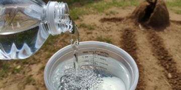 Como eliminar todos os cupins em apenas 1 minuto