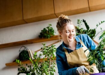 As 7 plantas que sobrevivem mesmo se você esquecer de regar por dias