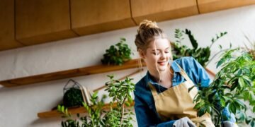 As 7 plantas que sobrevivem mesmo se você esquecer de regar por dias