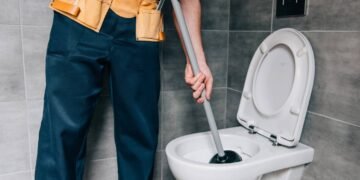 Truque de limpeza surpreendente que espanta insetos e deixa o vaso branco em 1 dia