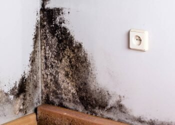 Tire todo o mofo da sua parede em MINUTOS com esse truque simples