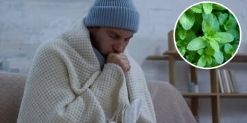Essa planta simples pode aliviar sintomas da bronquite e você pode cultivar em casa