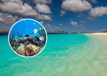 Este destino pouco conhecido é um aquário a céu aberto, banhado por um mar azul-turquesa brilhante