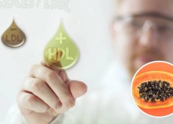 Fruta tropical é destaque em estudos sobre colesterol e saúde cardíaca