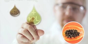 Fruta tropical é destaque em estudos sobre colesterol e saúde cardíaca