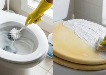 Truque de limpeza de como branquear plástico