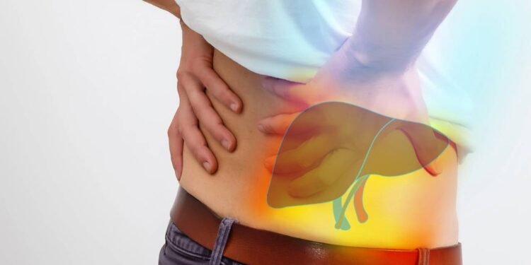 Em quadros de esteatose hepática, conhecidos como fígado gorduroso, a prioridade costuma ser reorganizar a alimentação - Créditos: depositphotos.com / sinenkiy