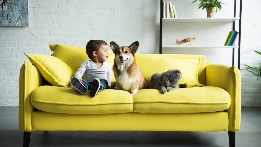 Como conviver com pets pode melhorar sua saúde mental, segundo a ciência