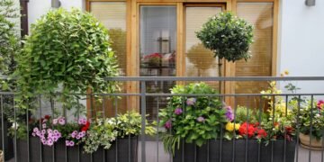 Sua varanda é um forno? Veja plantas que amam sol e não morrem jamais