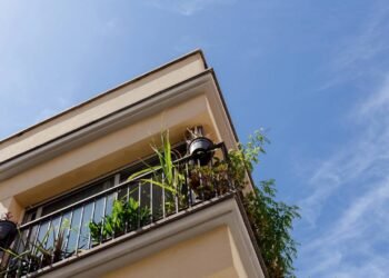 Sua varanda é um forno? Veja plantas que amam sol e não morrem jamais