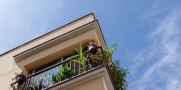 Sua varanda é um forno? Veja plantas que amam sol e não morrem jamais