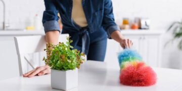 Essa é a melhor forma de tirar toda a poeira da sua casa