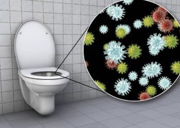 Como limpar o vaso sanitário encardido e com crosta por menos de três reais