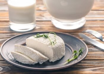 É só cozinhar VINAGRE com LEITE e não precisa mais comprar queijo no mercado