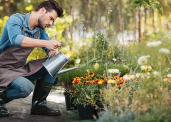 Manhã ou tarde? Saiba qual horário que seu jardim prefere para crescer