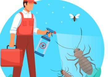 Acabe com formigas e baratas em casa usando esta receita caseira simples