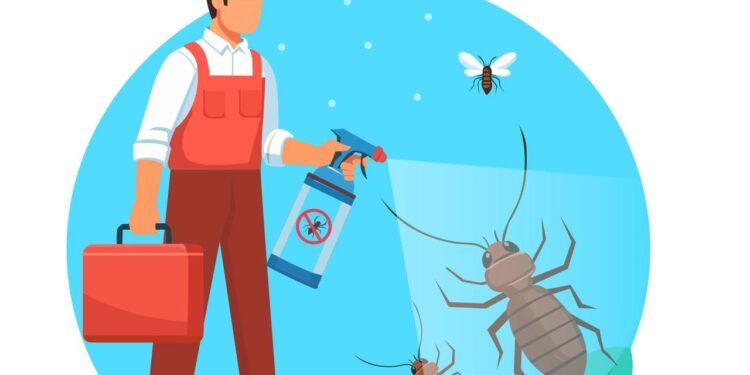 Acabe com formigas e baratas em casa usando esta receita caseira simples