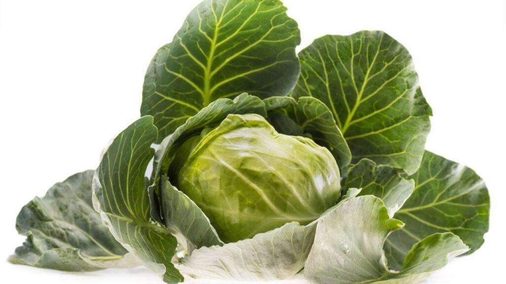 O mini-jardim de repolhos que cabe em qualquer cantinho