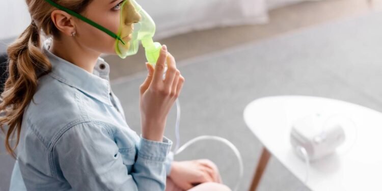 O principal motivo para o eucalipto ser associado à saúde respiratória está na presença do composto 1,8-cineol - Créditos: depositphotos.com / AndrewLozovyi