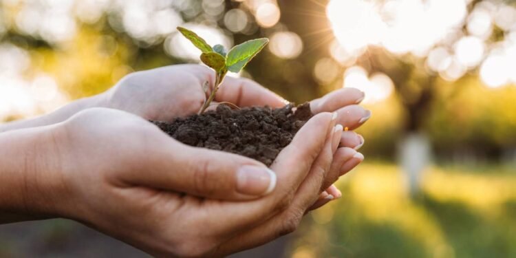 A própria terra te da sinais do que ela precisa - Créditos: depositphotos.com / SashaKhalabuzar