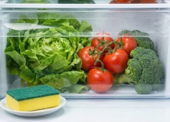 Essa esponja pode salvar seus alimentos do desperdício