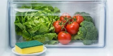 Essa esponja pode salvar seus alimentos do desperdício