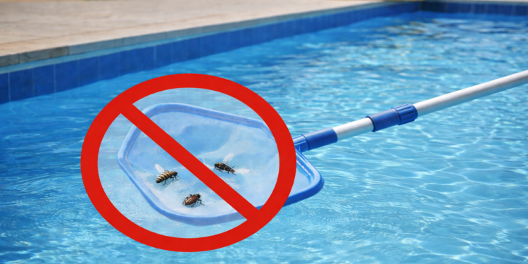Como afastar insetos da piscina com ingredientes simples