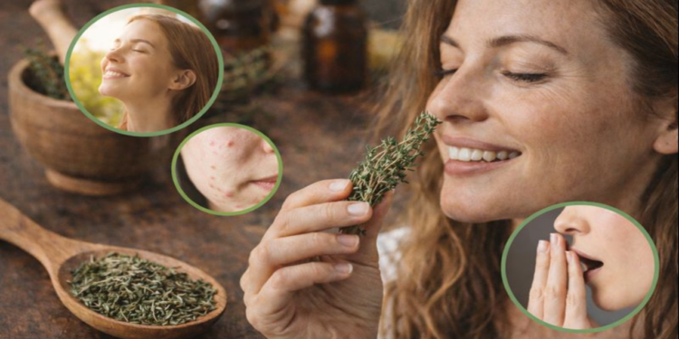 Essa erva aromática pode surpreender nos cuidados diários