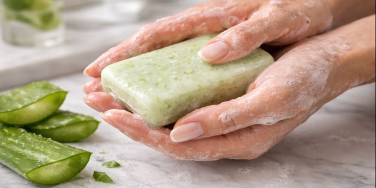 Sabonete de aloe vera ganha espaço na rotina de cuidados