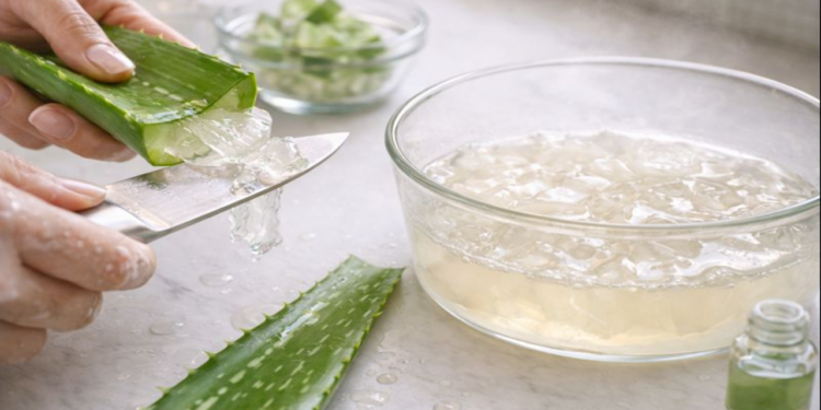 Uma planta antiga pode renovar sua rotina de pele