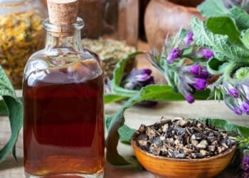 Planta medicinal comum em quintais brasileiros levanta alerta: veja a única forma segura de usar essa planta