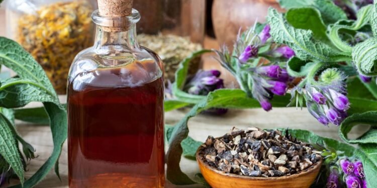 O confrei, de nome científico Symphytum officinale, é uma planta herbácea conhecida pelas folhas grandes, - Créditos: depositphotos.com / MadeleineSteinbach