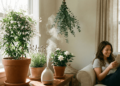 Esqueça o bom ar, conheça as 5 plantas que perfumam a casa sozinhas