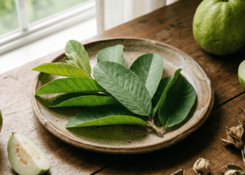 O chá caseiro que ajuda a aliviar gases e desconforto intestinal de forma simples