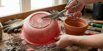 O truque doméstico que evita plantas encharcadas