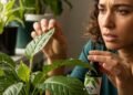 Aprenda a identificar 3 sinais silenciosos que mostram que sua planta está em perigo e o que fazer imediatamente