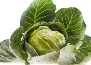 O vegetal simples que virou tendência e dominou as buscas